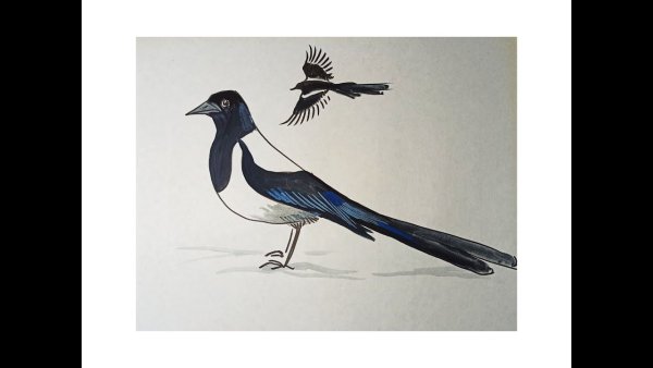 Нарисовать сороку просто