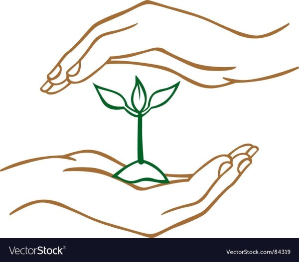 Знаки природы