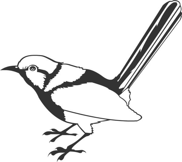 Трафареты птиц сороки