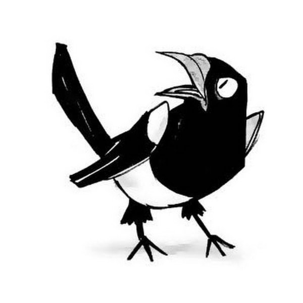 Сорока черно