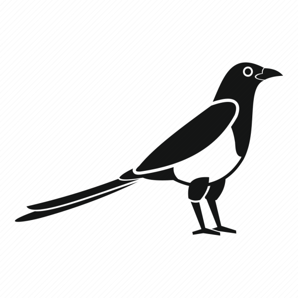 Сорока контур