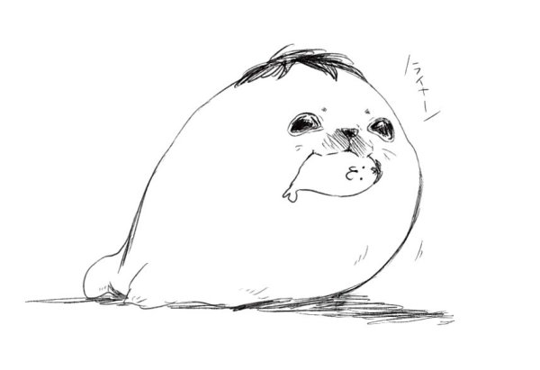 Тюлень рисунок
