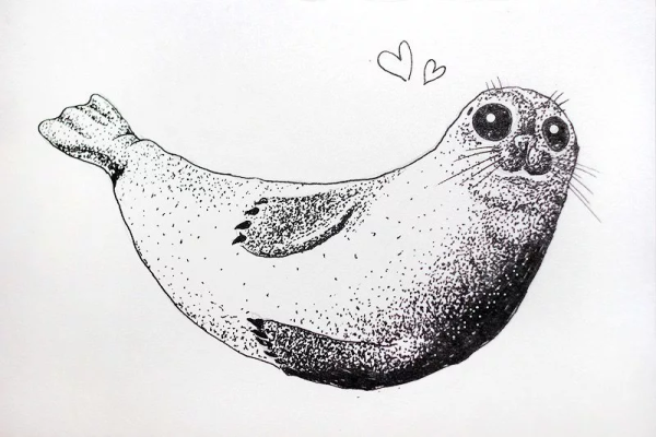 Рисунки тюленя для срисовки