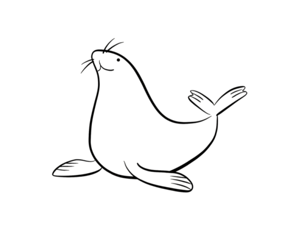 Морской тюлень контур