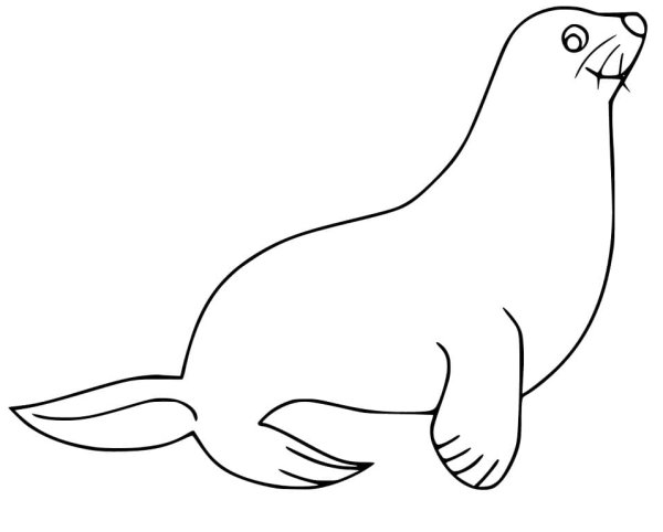 Трафарет тюленя для рисования
