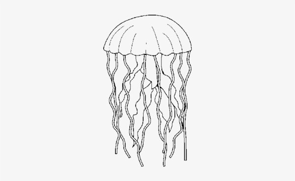 Мини тату медуза