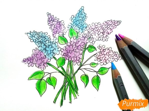 Рисунок сирени фломастерами для детей