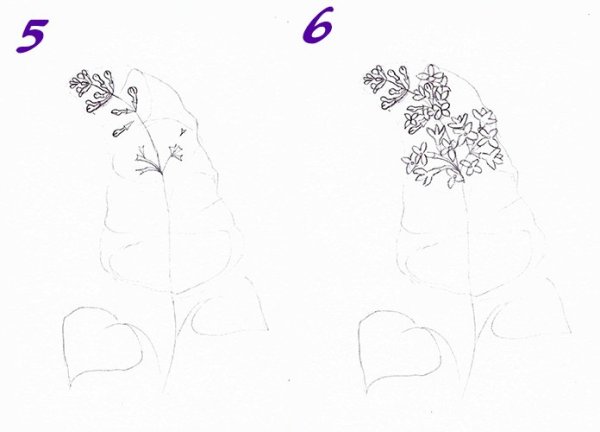 Стилизованная сирень