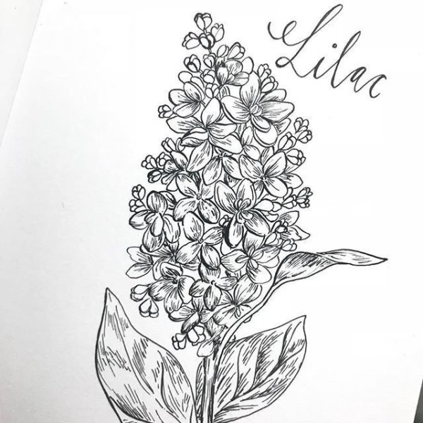 Вышивка лентами сирень схема