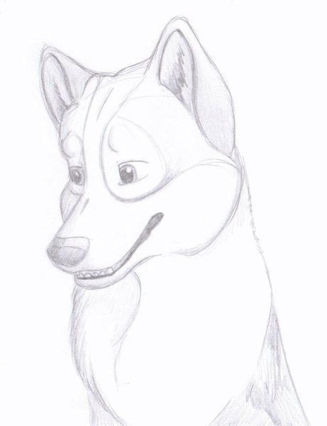 Собака карандашом