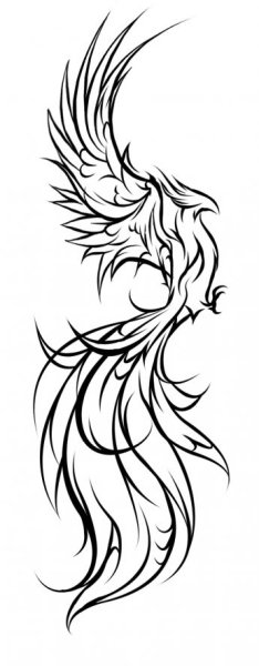 Феникс тату эскизы