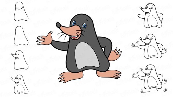 Нарисовать крота