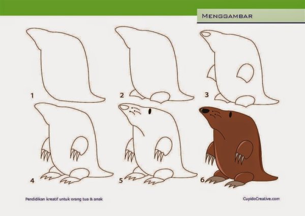 Крот поэтапное рисование