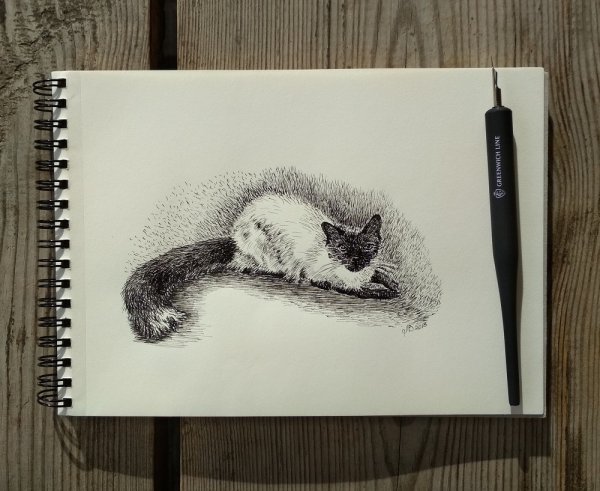 Перо для рисования тушью