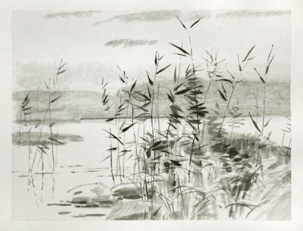 Рисунки тушью и карандашом