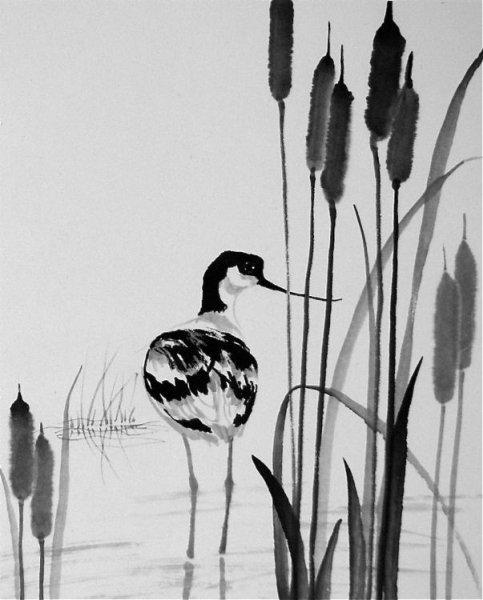 Точечная штриховка тушью