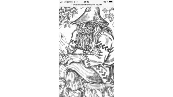 Лесовичок раскраска для детей