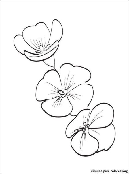 Трафарет фиалки для рисования