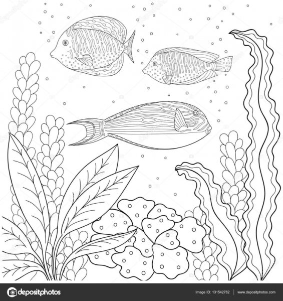 Коралловый риф раскраска