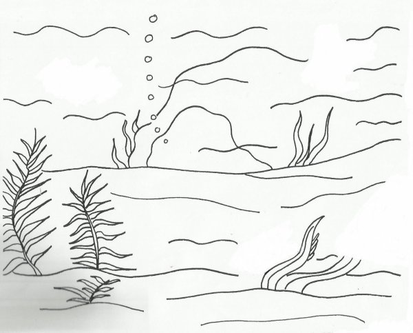 Наброски подводный мир