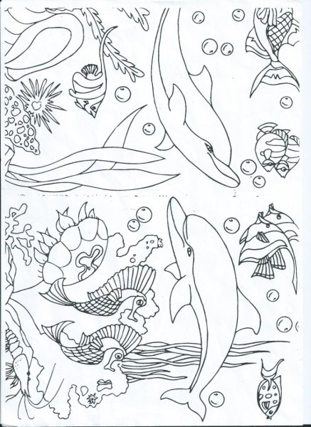 Раскраска "подводный мир"