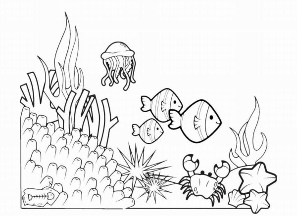 Раскраски морские обитатели подготовительная группа