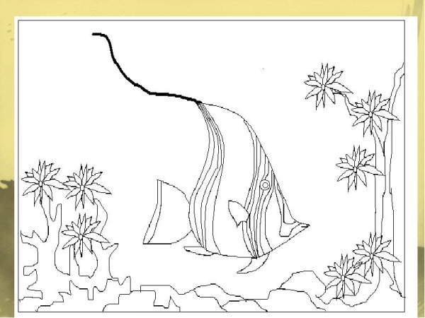 Морское дно раскраска