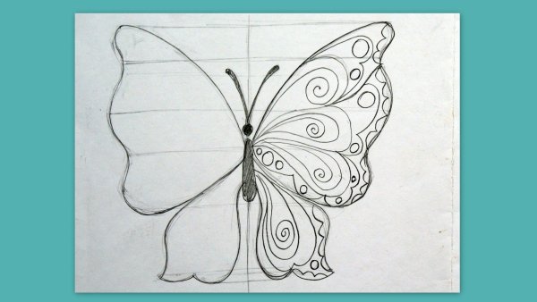 Дорисуй по клеточкам для детей 5-6 лет