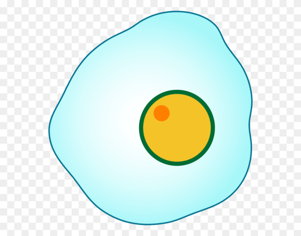 Клетка биология без фона