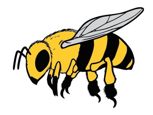 Рисунок пчелы для срисовки