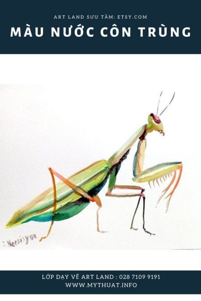 Богомол эскиз