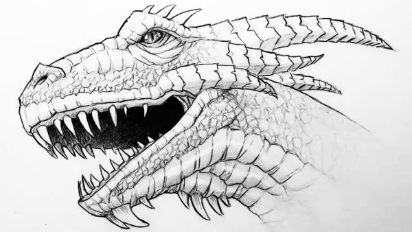 Рисунки драконов простым карандашом