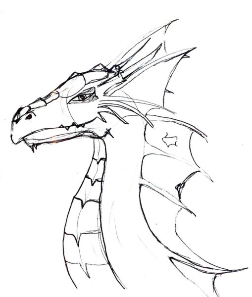 Дракон для срисовки