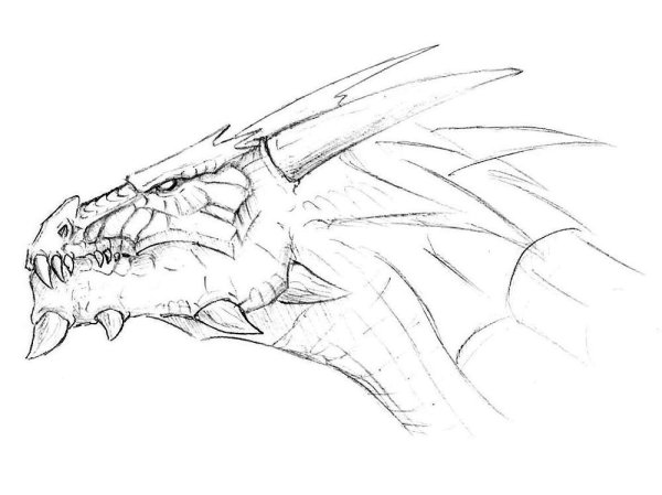 Голова дракона раскраска