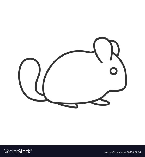 Шиншилла контур