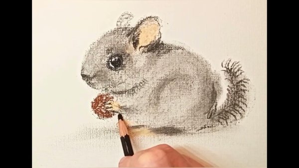 Шиншилла нарисовать простым способом