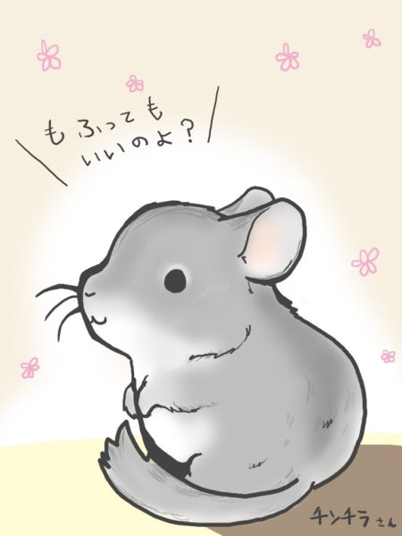 Шиншилла рисунок