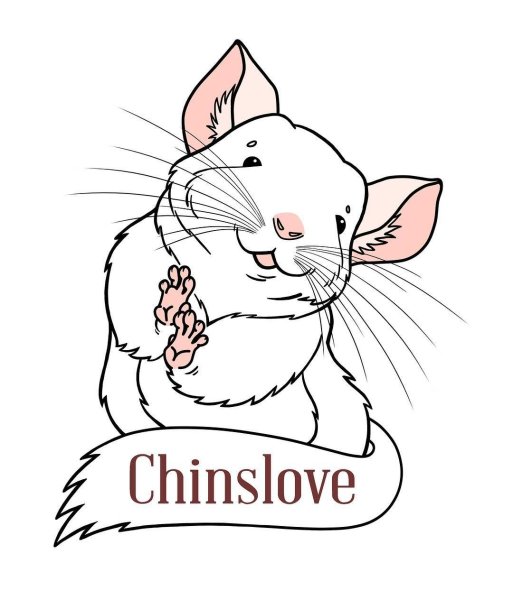 Шиншилла логотип