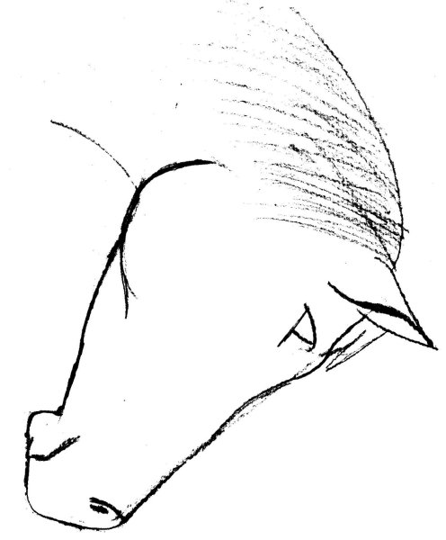 Нарисовать голову лошади