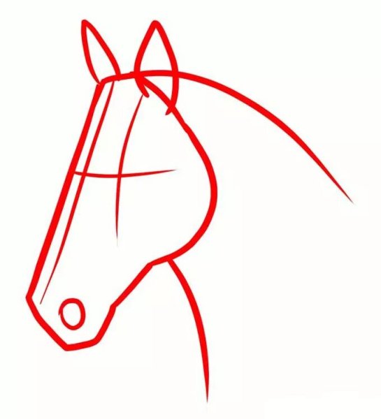 Поэтапное рисование головы лошади