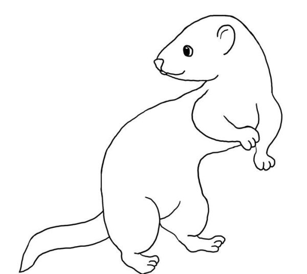 Солонгой Забайкальский рисунок