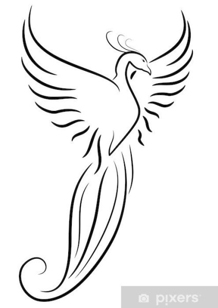 Феникс контурный рисунок