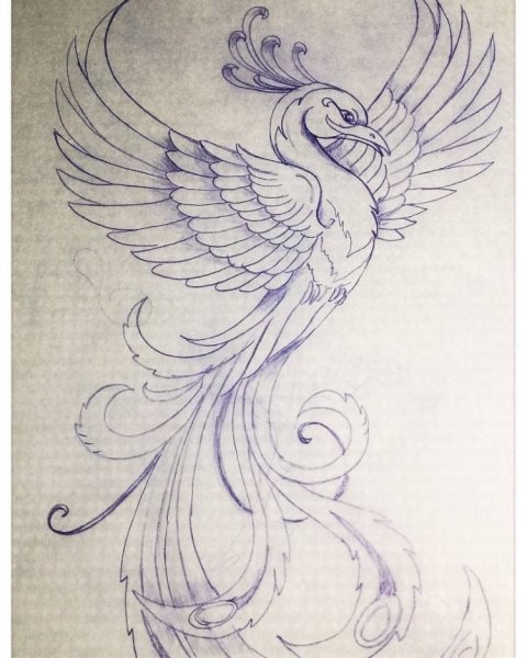 Птица Симург тату эскизы