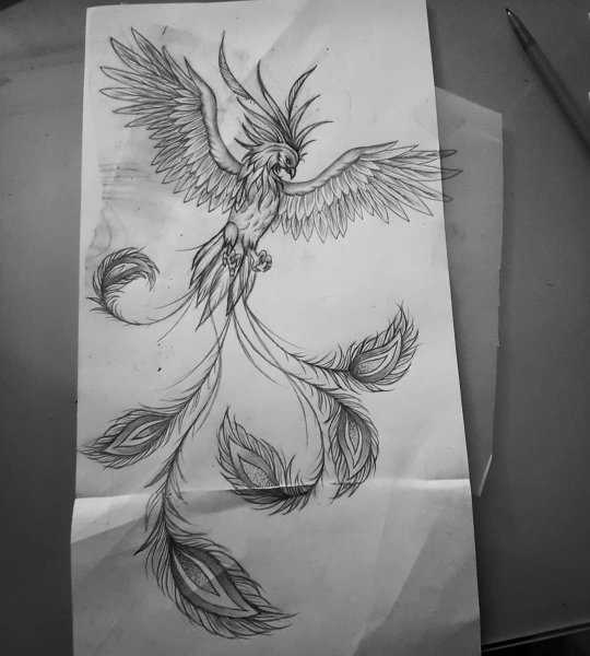 Феникс тату эскиз карандашом