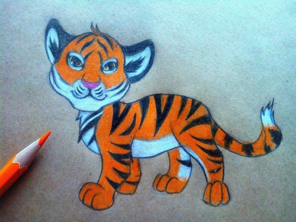 Рисунок тигра