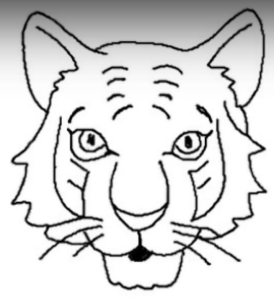 Нарисовать морду тигра для ребенка