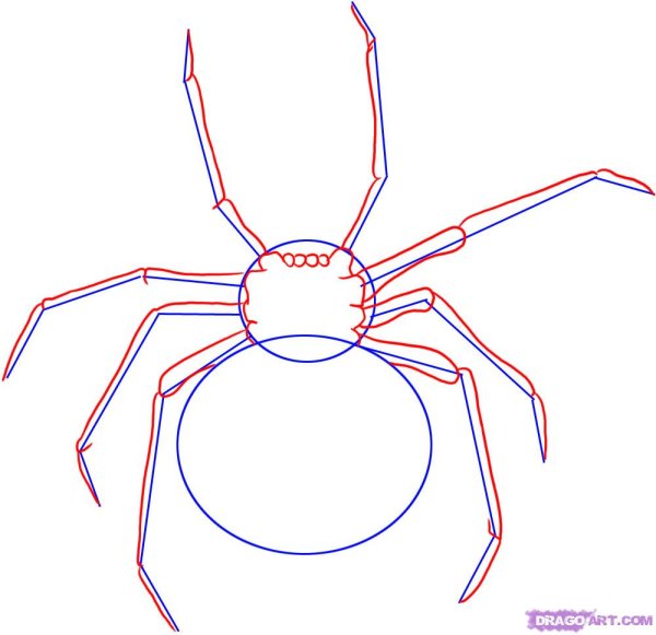 Паук карандашом