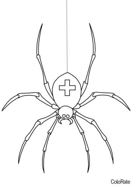 Паук крестовик рисунок лёгкий