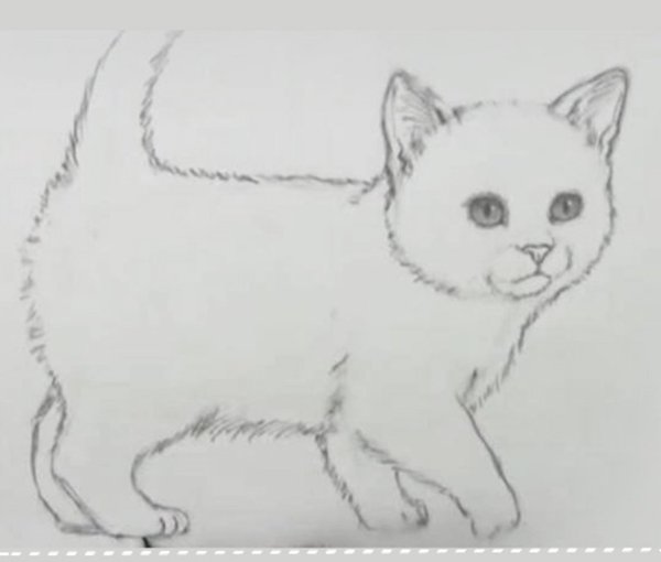 Котенок рисунок