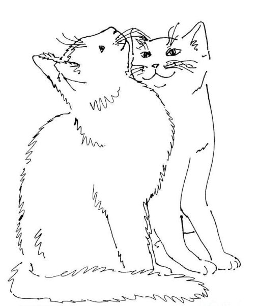 Раскраска 2 кошки
